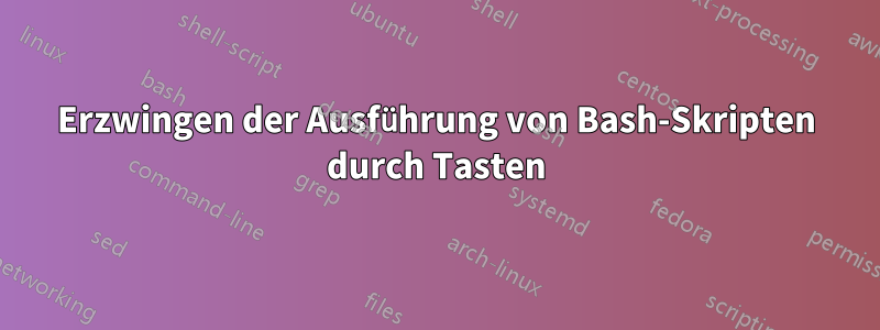 Erzwingen der Ausführung von Bash-Skripten durch Tasten