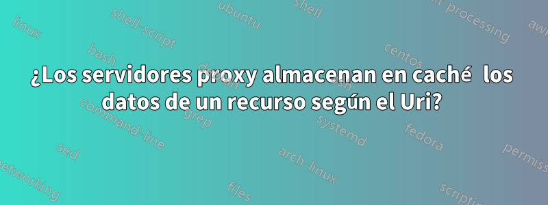 ¿Los servidores proxy almacenan en caché los datos de un recurso según el Uri?