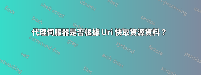 代理伺服器是否根據 Uri 快取資源資料?