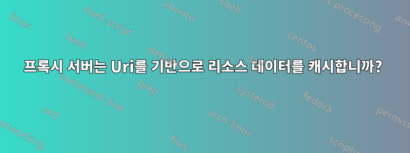 프록시 서버는 Uri를 기반으로 리소스 데이터를 캐시합니까?