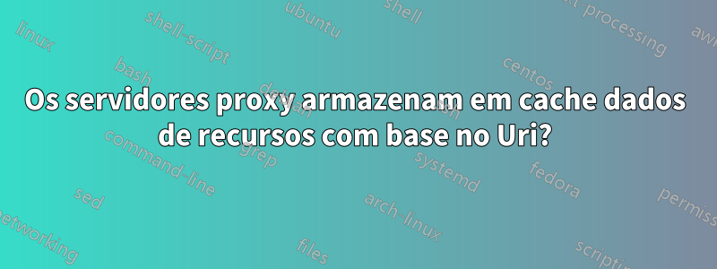 Os servidores proxy armazenam em cache dados de recursos com base no Uri?