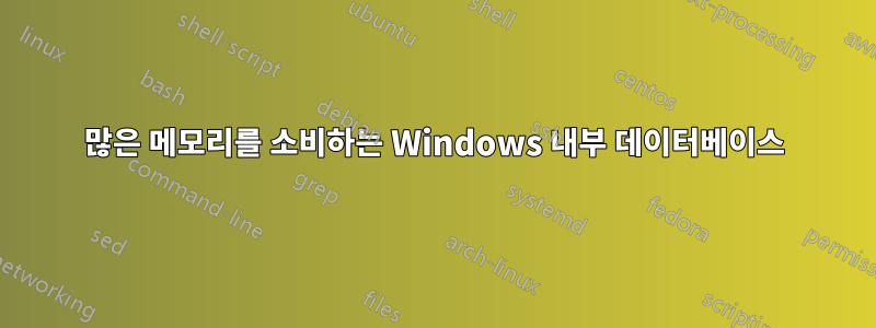 많은 메모리를 소비하는 Windows 내부 데이터베이스