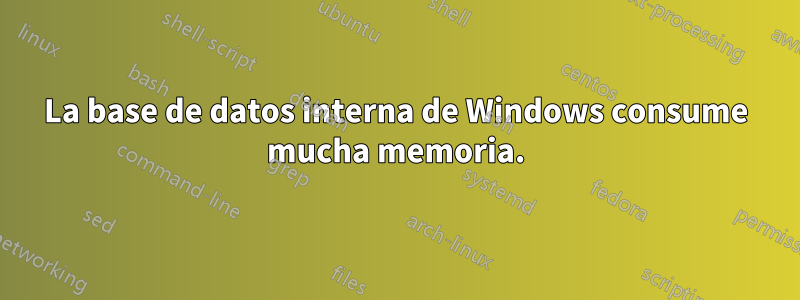 La base de datos interna de Windows consume mucha memoria.