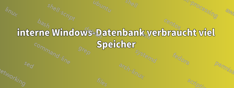 interne Windows-Datenbank verbraucht viel Speicher