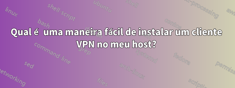 Qual é uma maneira fácil de instalar um cliente VPN no meu host?