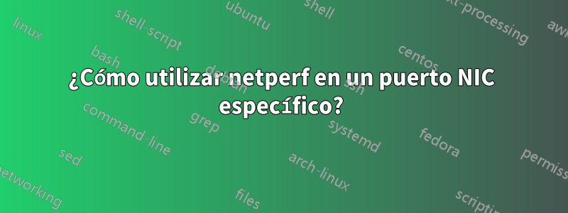 ¿Cómo utilizar netperf en un puerto NIC específico?