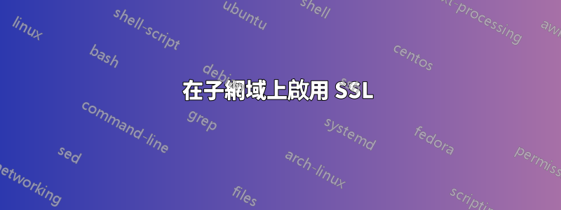 在子網域上啟用 SSL