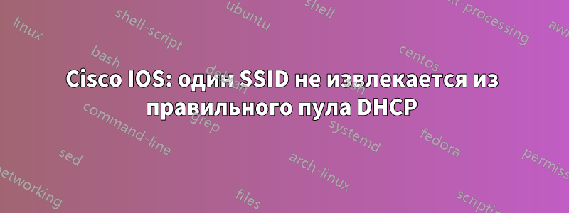 Cisco IOS: один SSID не извлекается из правильного пула DHCP