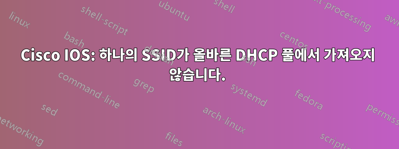 Cisco IOS: 하나의 SSID가 올바른 DHCP 풀에서 가져오지 않습니다.