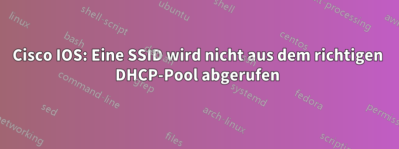 Cisco IOS: Eine SSID wird nicht aus dem richtigen DHCP-Pool abgerufen