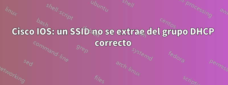 Cisco IOS: un SSID no se extrae del grupo DHCP correcto