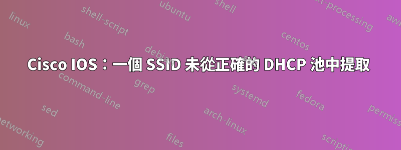 Cisco IOS：一個 SSID 未從正確的 DHCP 池中提取