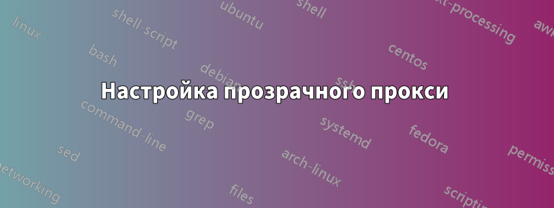 Настройка прозрачного прокси