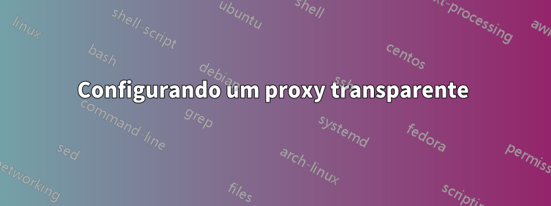 Configurando um proxy transparente