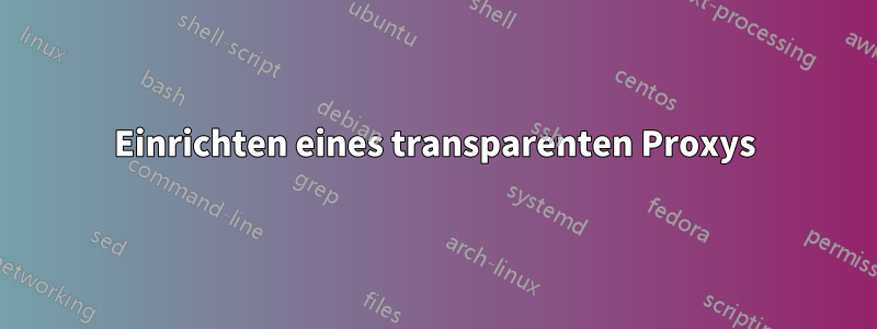 Einrichten eines transparenten Proxys