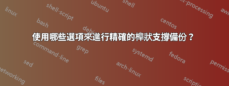 使用哪些選項來進行精確的桿狀支撐備份？