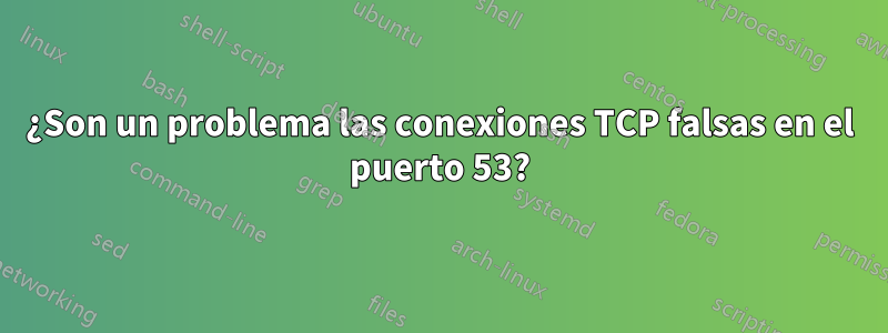 ¿Son un problema las conexiones TCP falsas en el puerto 53?