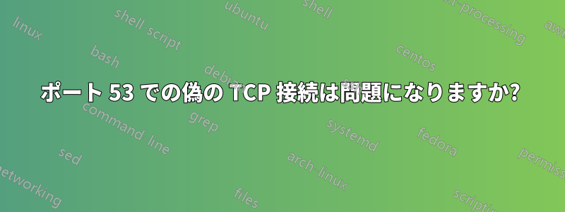 ポート 53 での偽の TCP 接続は問題になりますか?
