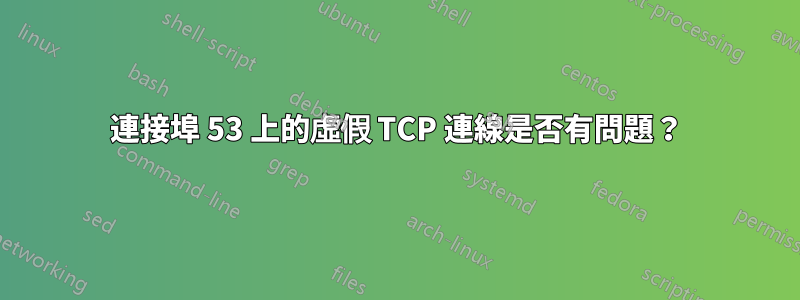 連接埠 53 上的虛假 TCP 連線是否有問題？