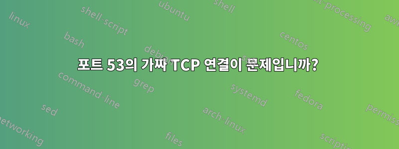 포트 53의 가짜 TCP 연결이 문제입니까?