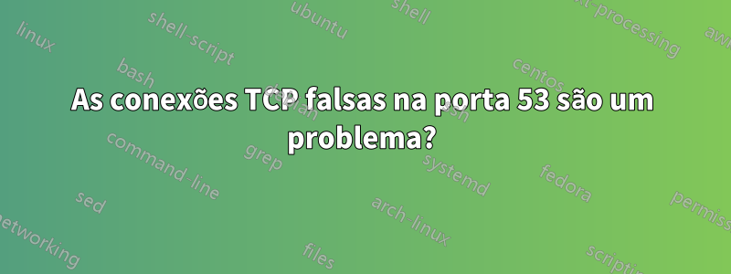 As conexões TCP falsas na porta 53 são um problema?