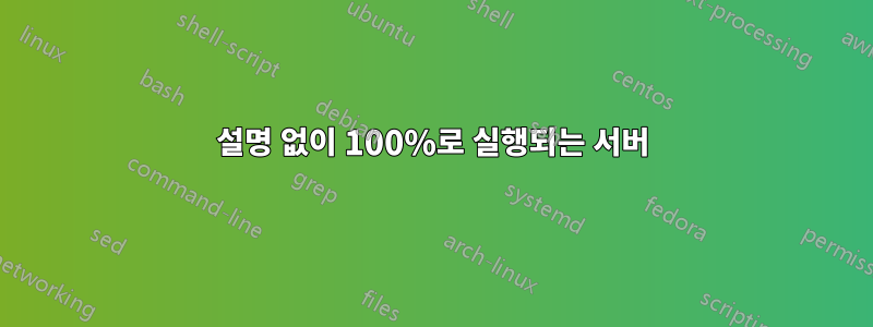 설명 없이 100%로 실행되는 서버