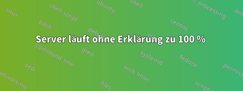 Server läuft ohne Erklärung zu 100 %
