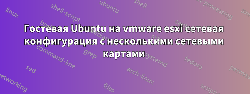 Гостевая Ubuntu на vmware esxi сетевая конфигурация с несколькими сетевыми картами