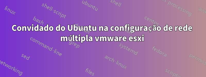 Convidado do Ubuntu na configuração de rede múltipla vmware esxi