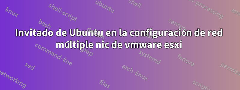 Invitado de Ubuntu en la configuración de red múltiple nic de vmware esxi