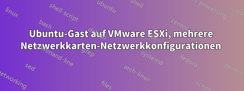Ubuntu-Gast auf VMware ESXi, mehrere Netzwerkkarten-Netzwerkkonfigurationen
