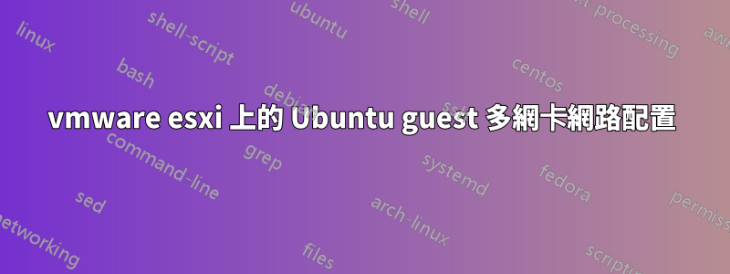 vmware esxi 上的 Ubuntu guest 多網卡網路配置