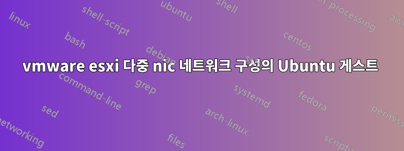 vmware esxi 다중 nic 네트워크 구성의 Ubuntu 게스트