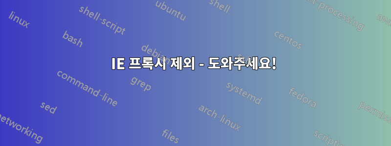 IE 프록시 제외 - 도와주세요!