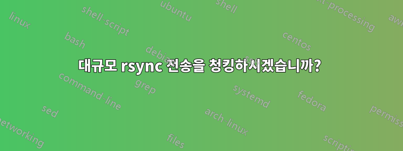 대규모 rsync 전송을 청킹하시겠습니까?