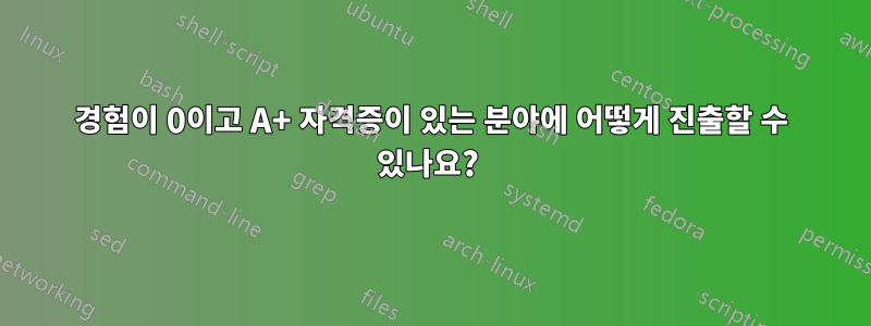 경험이 0이고 A+ 자격증이 있는 분야에 어떻게 진출할 수 있나요?
