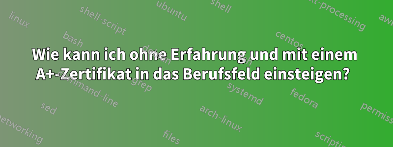 Wie kann ich ohne Erfahrung und mit einem A+-Zertifikat in das Berufsfeld einsteigen? 