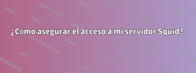 ¿Cómo asegurar el acceso a mi servidor Squid?