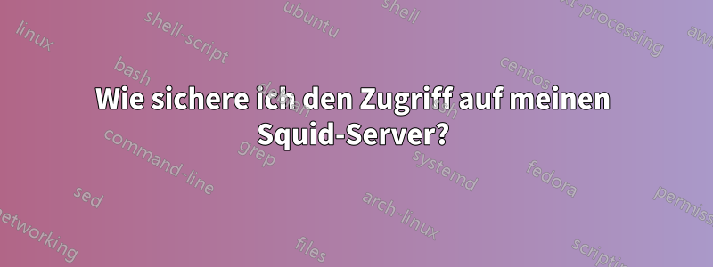 Wie sichere ich den Zugriff auf meinen Squid-Server?