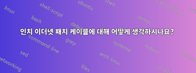 6인치 이더넷 패치 케이블에 대해 어떻게 생각하시나요?