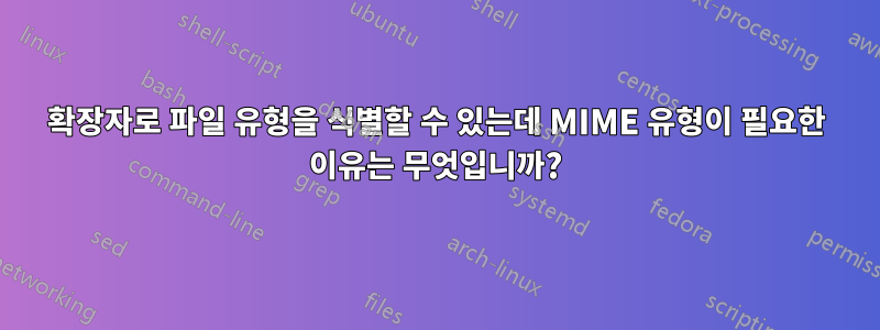 확장자로 파일 유형을 식별할 수 있는데 MIME 유형이 필요한 이유는 무엇입니까?