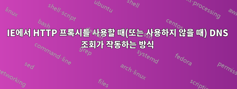 IE에서 HTTP 프록시를 사용할 때(또는 사용하지 않을 때) DNS 조회가 작동하는 방식