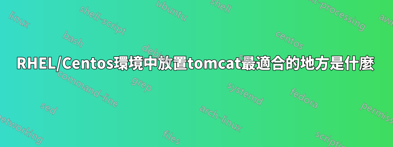 RHEL/Centos環境中放置tomcat最適合的地方是什麼