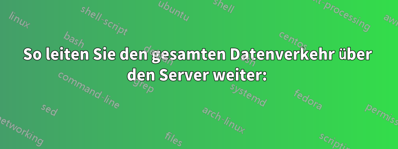 So leiten Sie den gesamten Datenverkehr über den Server weiter: