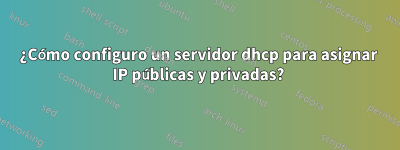 ¿Cómo configuro un servidor dhcp para asignar IP públicas y privadas?