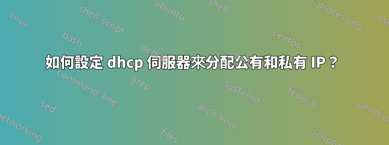 如何設定 dhcp 伺服器來分配公有和私有 IP？