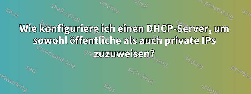 Wie konfiguriere ich einen DHCP-Server, um sowohl öffentliche als auch private IPs zuzuweisen?