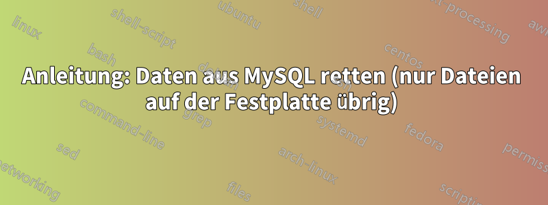 Anleitung: Daten aus MySQL retten (nur Dateien auf der Festplatte übrig)