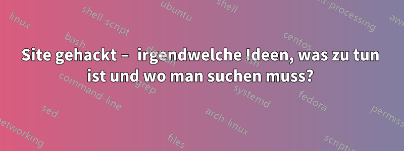 Site gehackt – irgendwelche Ideen, was zu tun ist und wo man suchen muss?