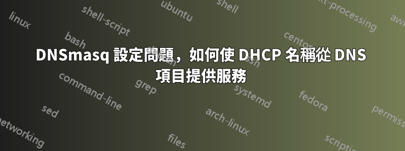 DNSmasq 設定問題，如何使 DHCP 名稱從 DNS 項目提供服務
